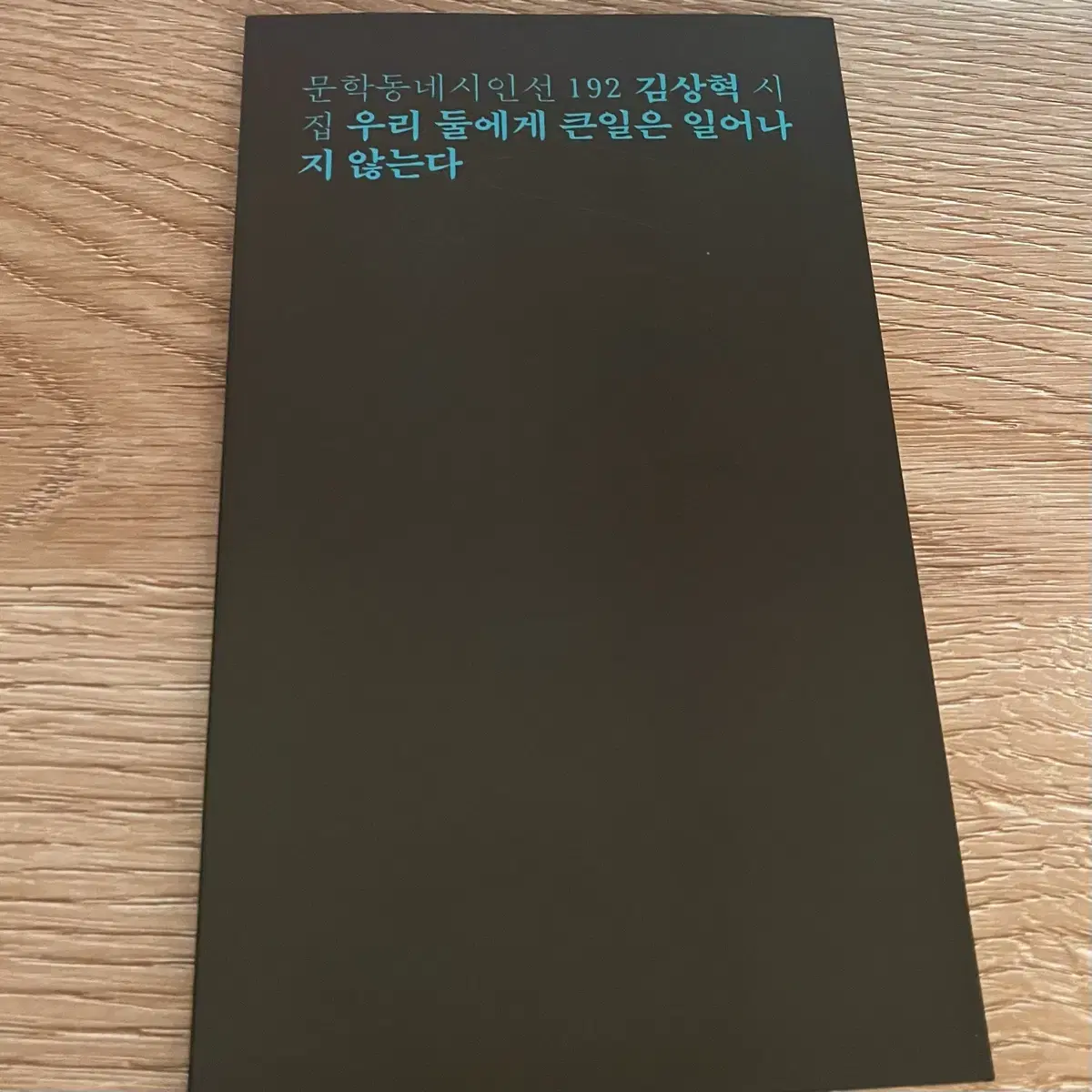 우리 둘에게 큰일은 일어나지 않는다 문학동네 시집